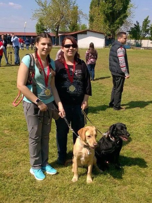 Guide Dog Competition