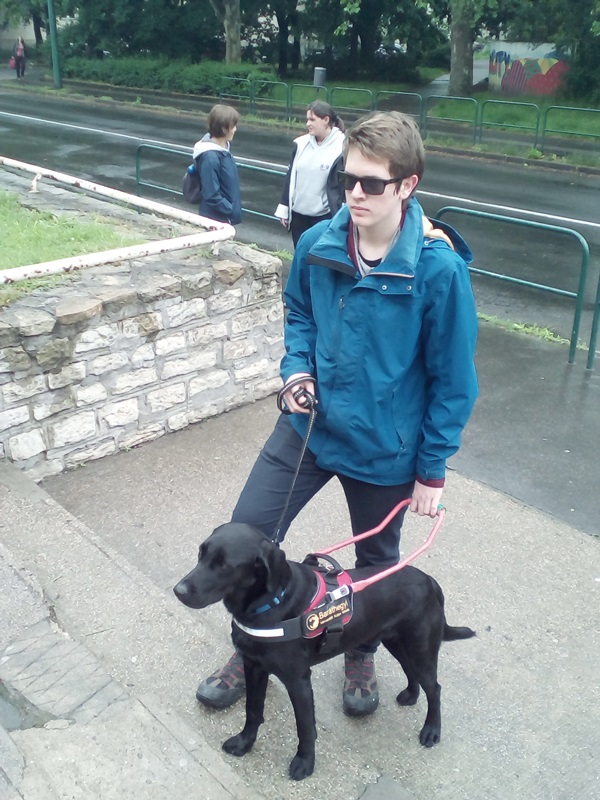 Máté and Fülöp Passed Their Exam