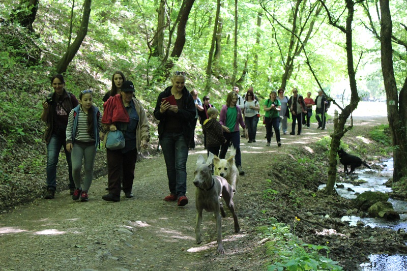 An Excursion in Miskolc