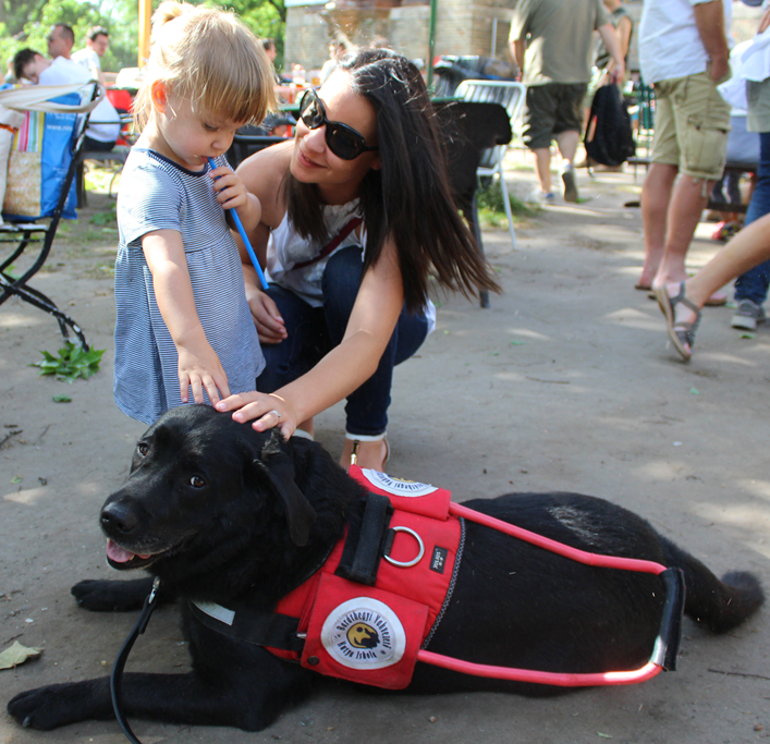 Family Day with Guide Dogs