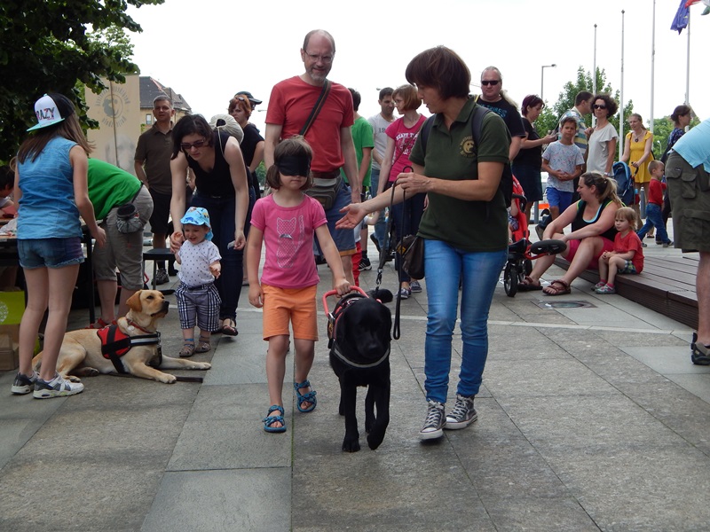 Children’s Day with Guide Dogs
