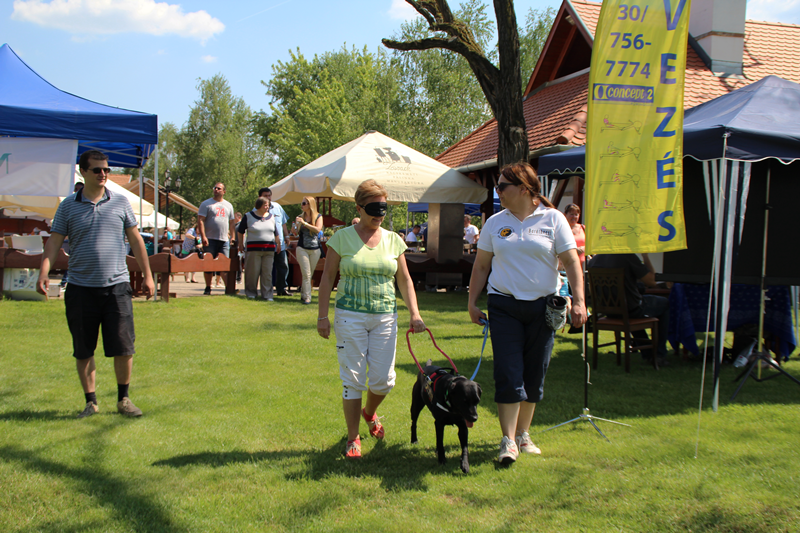 Guide Dogs on NEXON’s Family Day