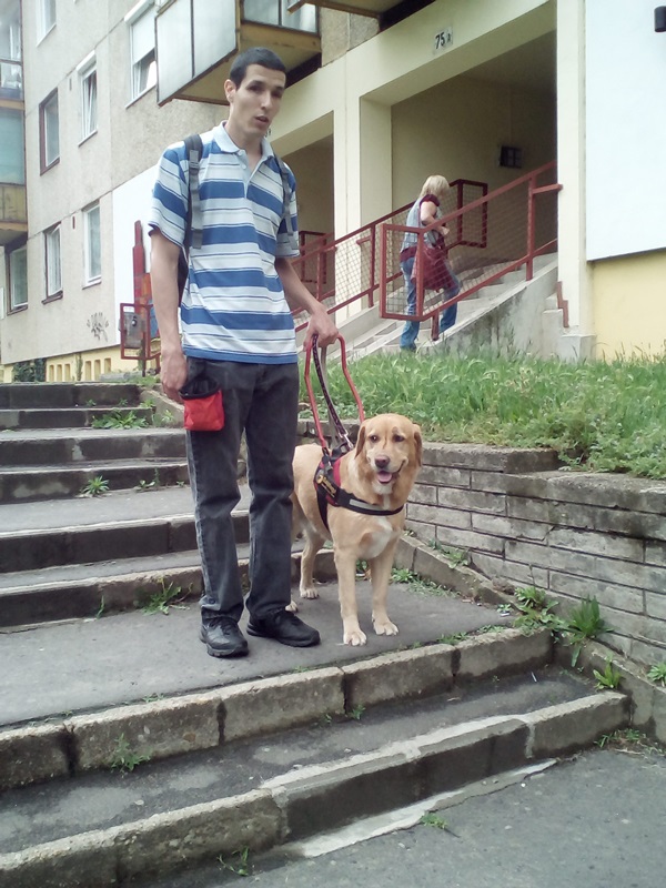 The Successful Exam of Ádám and his Guide Dog Bözsi