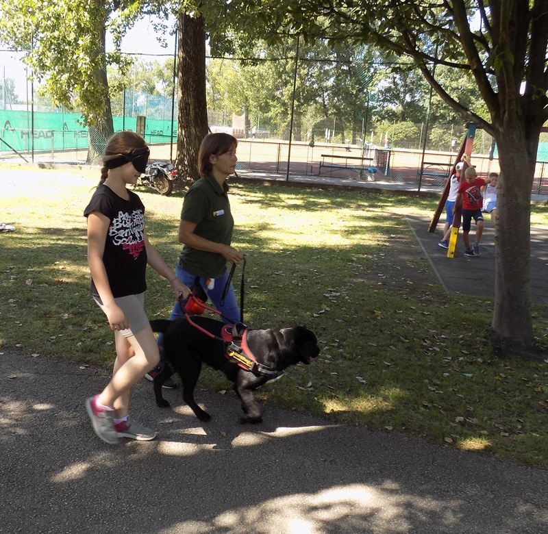 Guide Dogs in Camp Bregyó