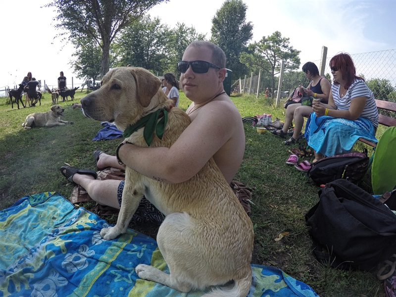 Dog-Friendly Beach at Lake Velence as We Have Seen It