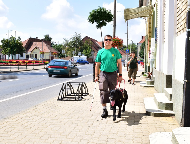 Zoltán and His Guide Dog Fecske Passed the Exam