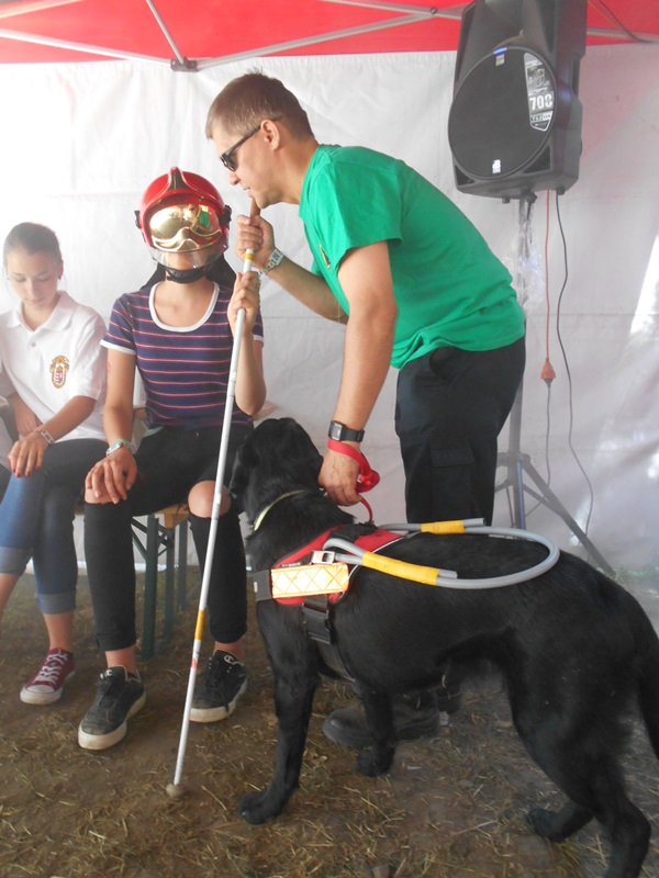 Interactive Practice with Fecske, the Guide Dog
