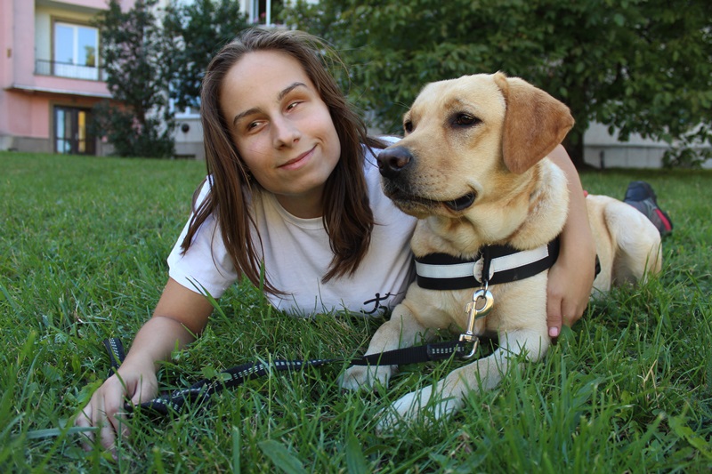 Two Fantastic Exams at the End of 2016