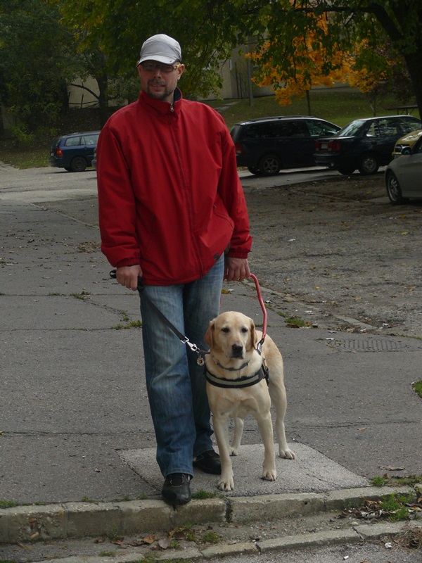 The Successful Exam of Krisztián and Nina