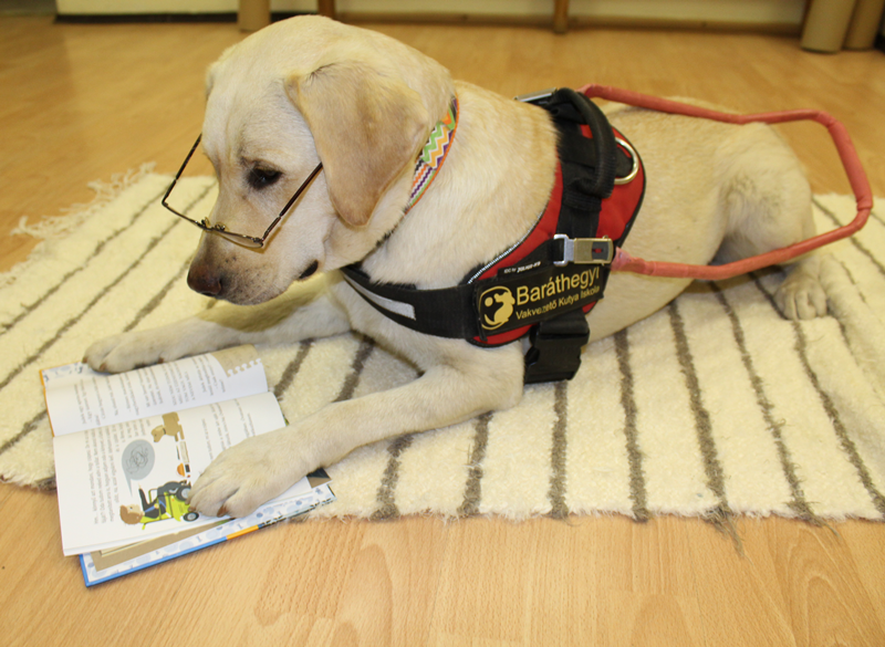 With Books for Guide Dogs