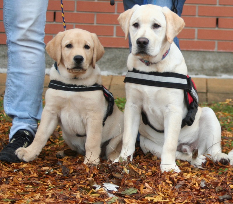 When the Smallest Meet