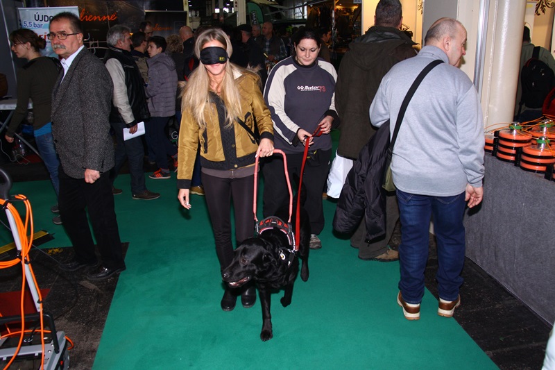 Guide Dogs at FeHoVa