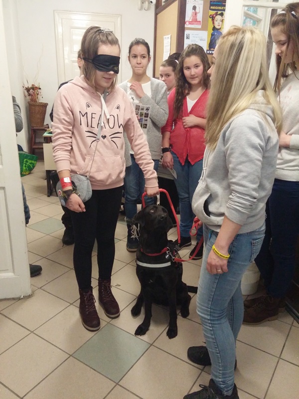 Appointing a Student Headmaster with Guide Dogs