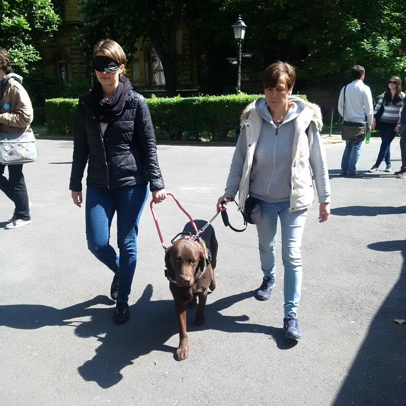 Guide Dogs on Humanities Day