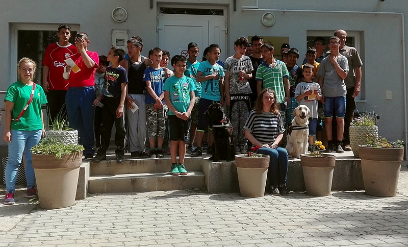 Guide Dogs in Tornanádaska