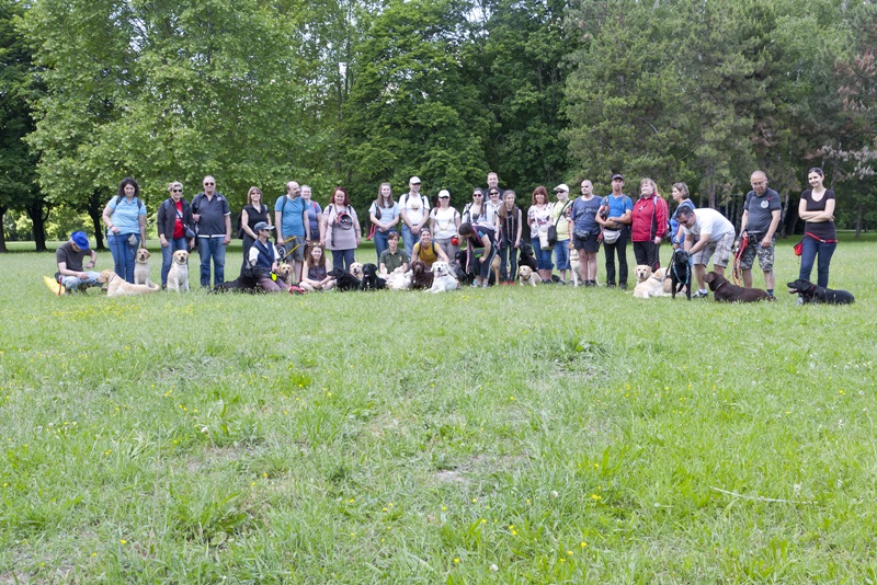 It’s Springtime, Let’s Make a Trip!