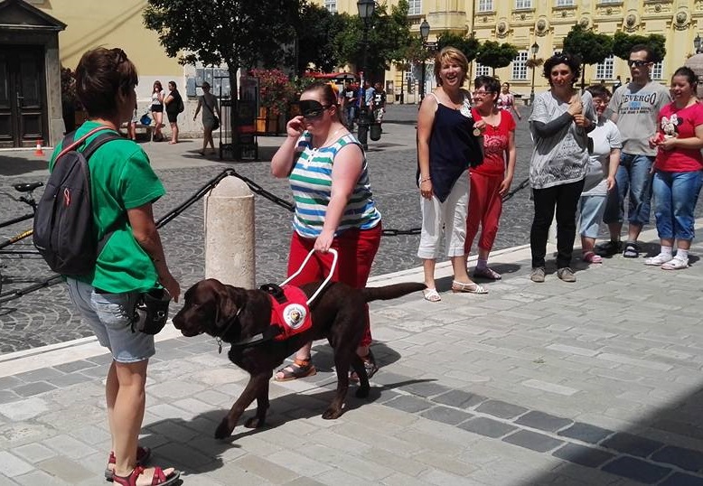 Equal Opportunity Day with Guide Dogs