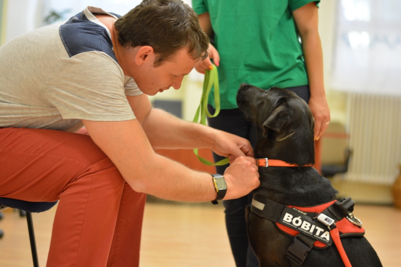 Someone Whose Dream Job is Working With Guide Dogs