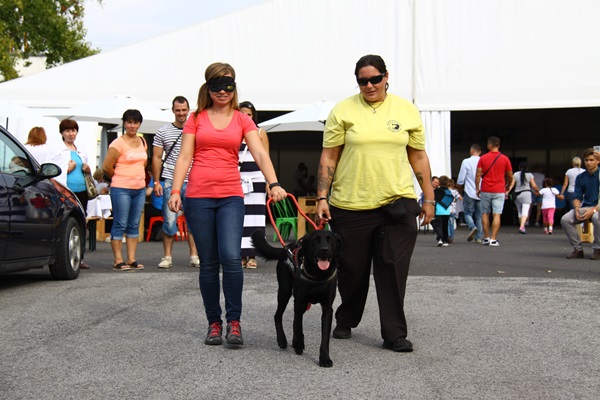 Találkozzunk Székesfehérváron, “Akadályok Nélkül”!