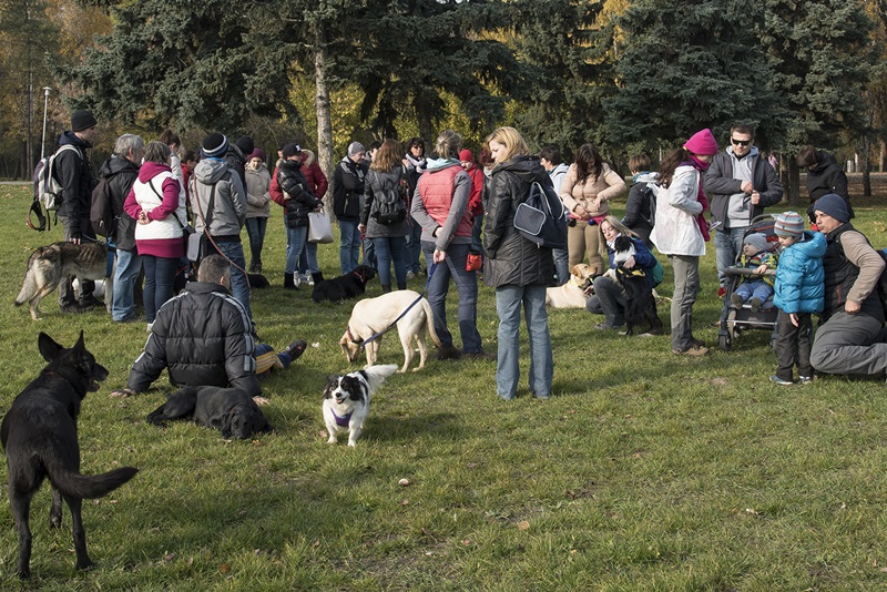 Szvirida Antónia és Felhő mesél az érdeklődőknek akik körbe veszik őket kutyáikkal