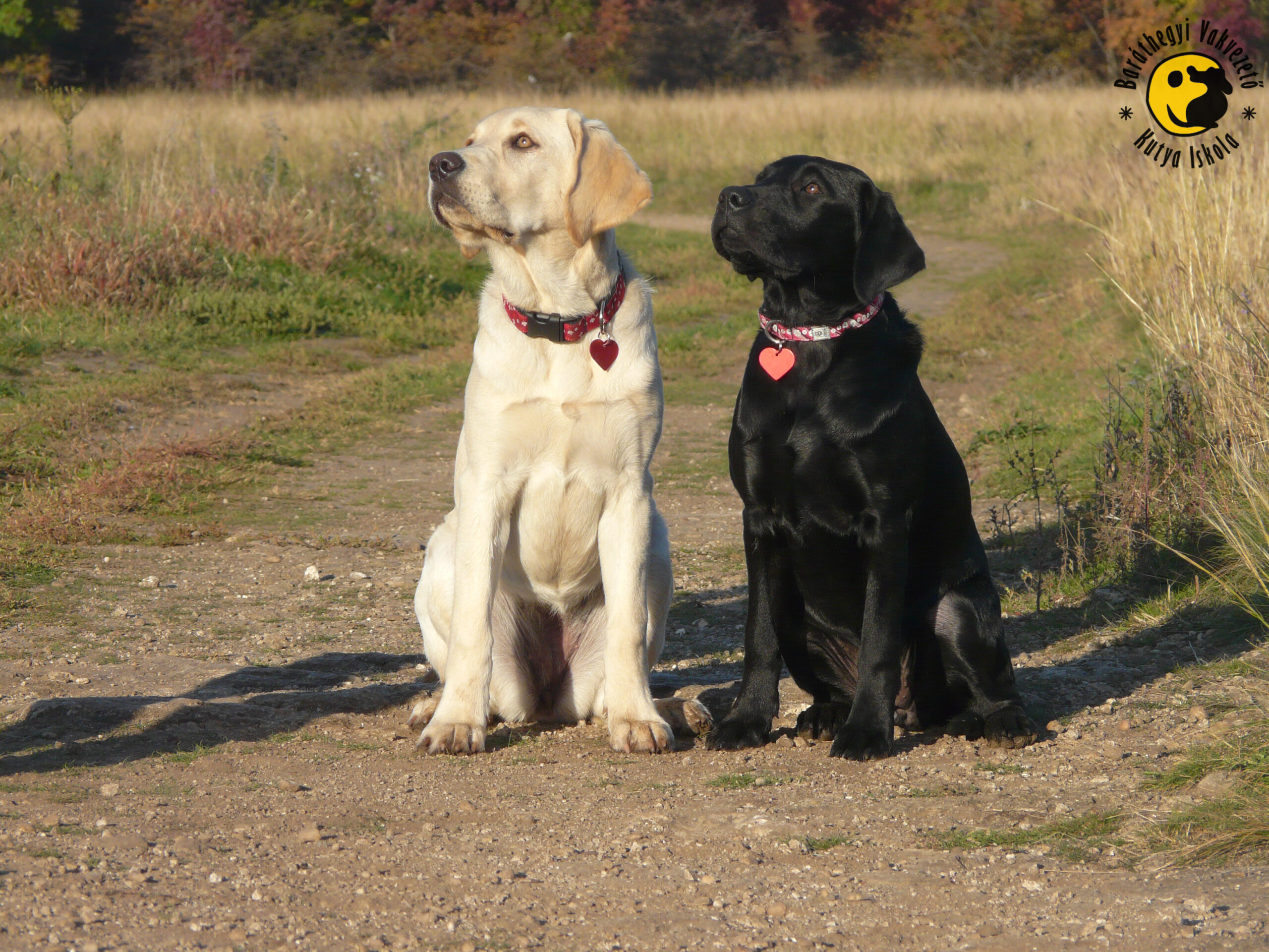 Calgary és Winnipeg megérkezett Kanadából!