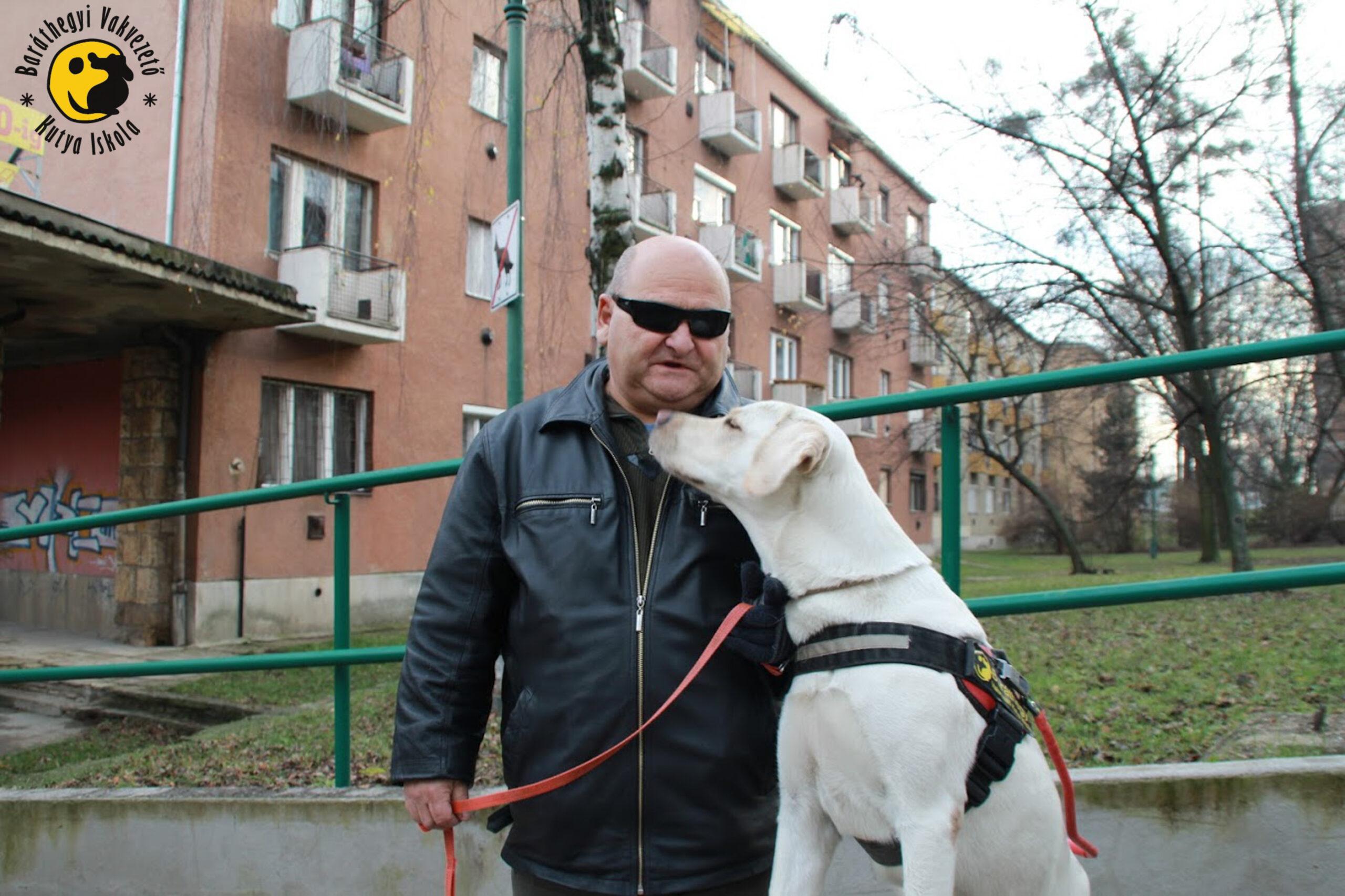 Barna és Gyömbér sikeres vizsgát tett!