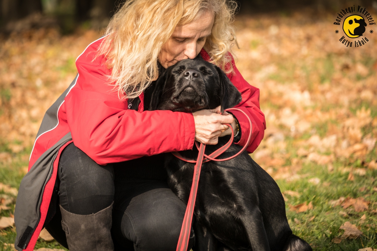 Kölyöknevelési program