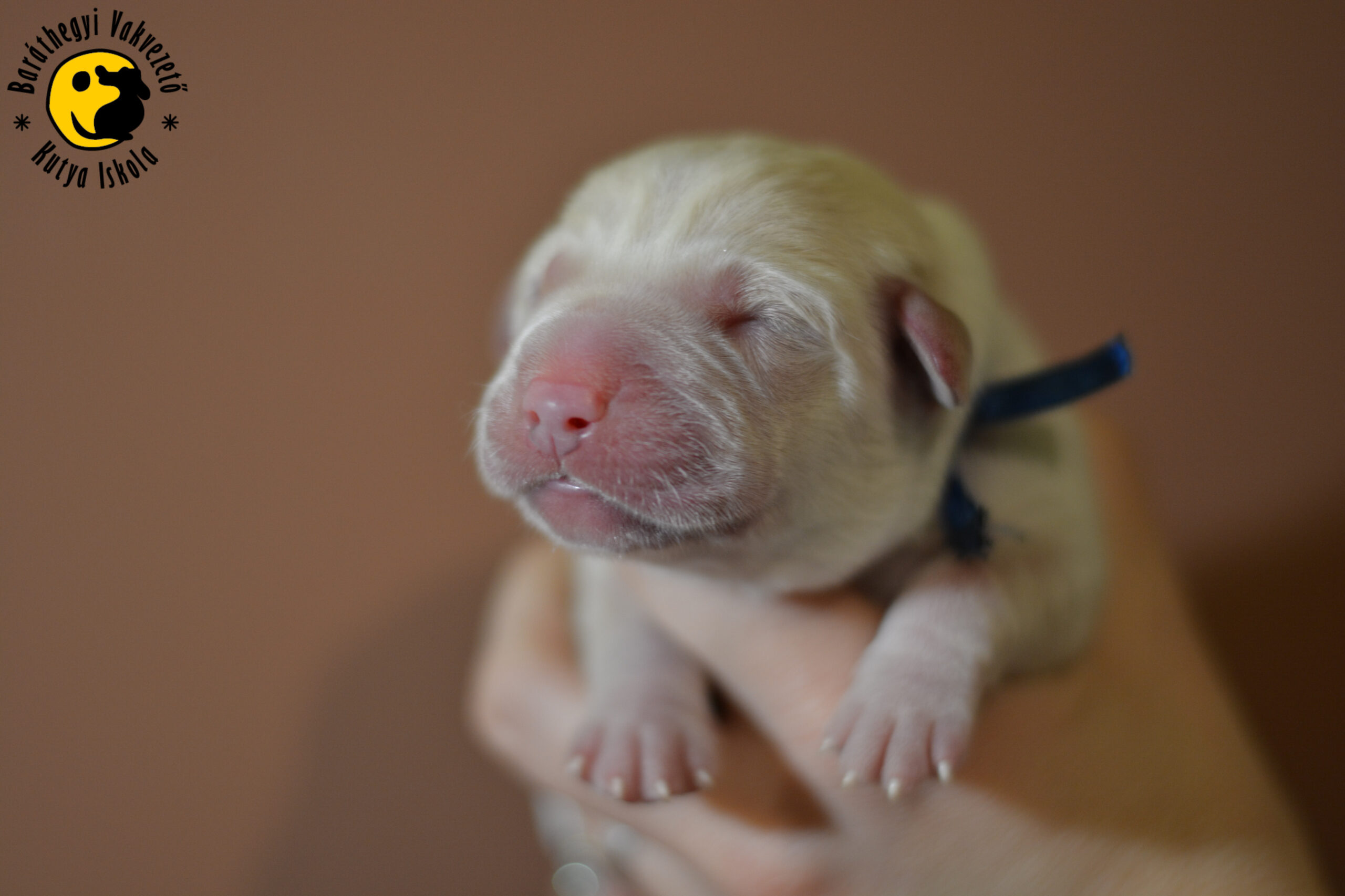 Mi történt 3 naposan?