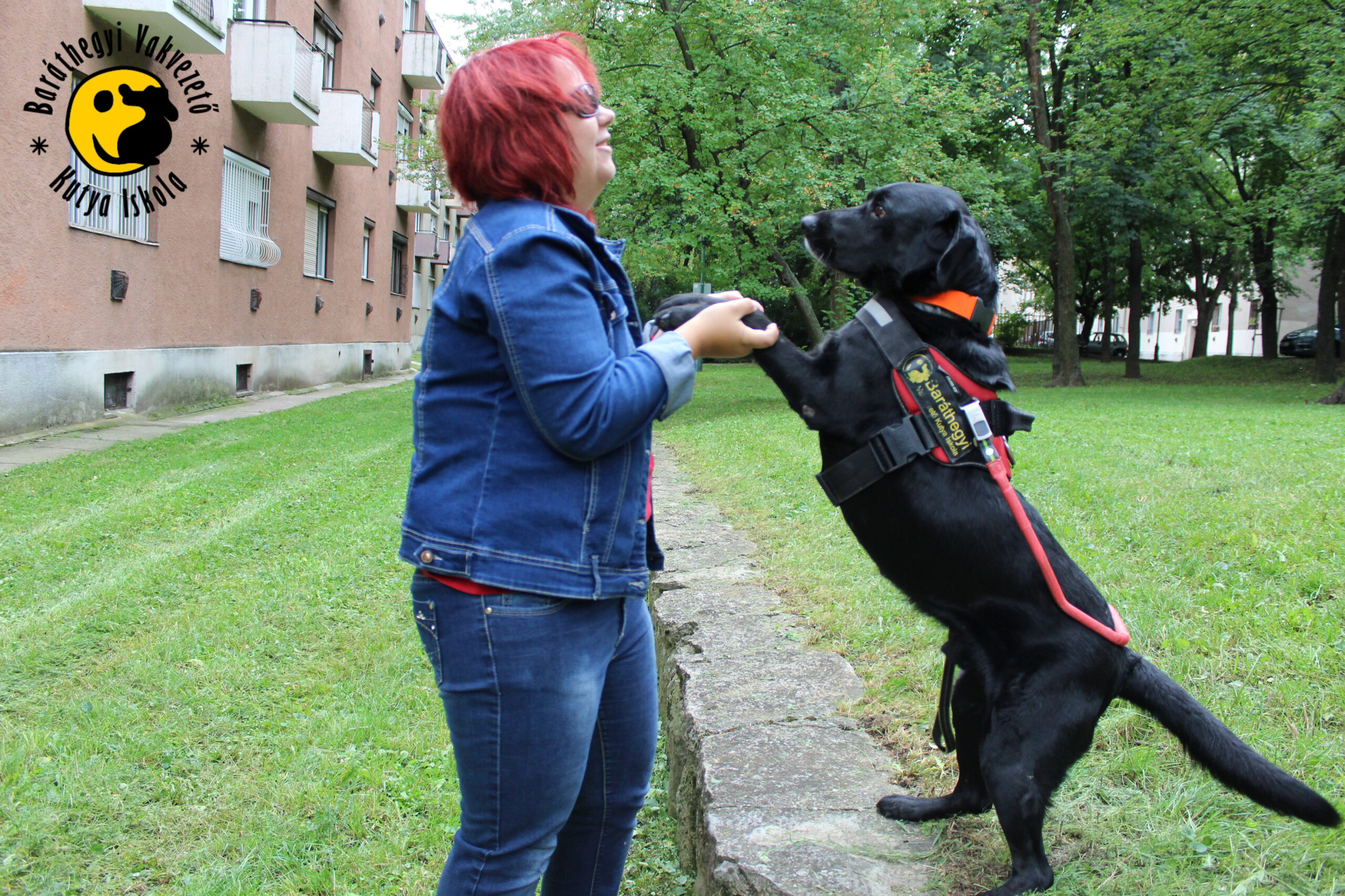 Vese Mese – Végre remekül vagyok!