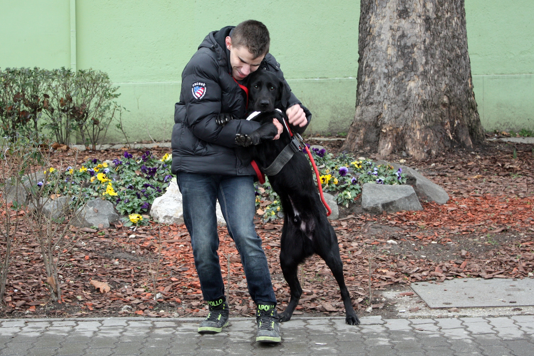 A mentett kutya, akiből lelki támasz és vakvezető kutya lett