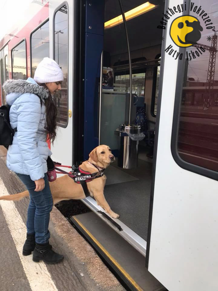 Dóri és Fidzsi éppen felszállnak a villamosra, téli kép, Dóri alaposan bebugyolálva: sapka, sál