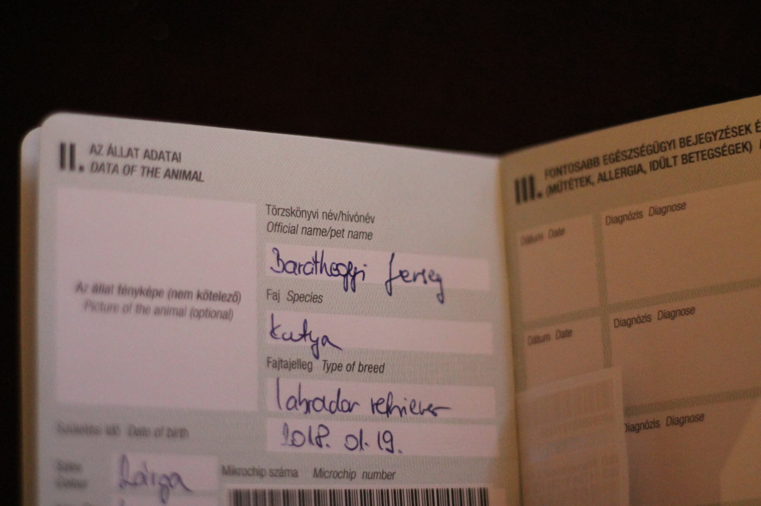 Megkapták első oltásukat és a chipjüket