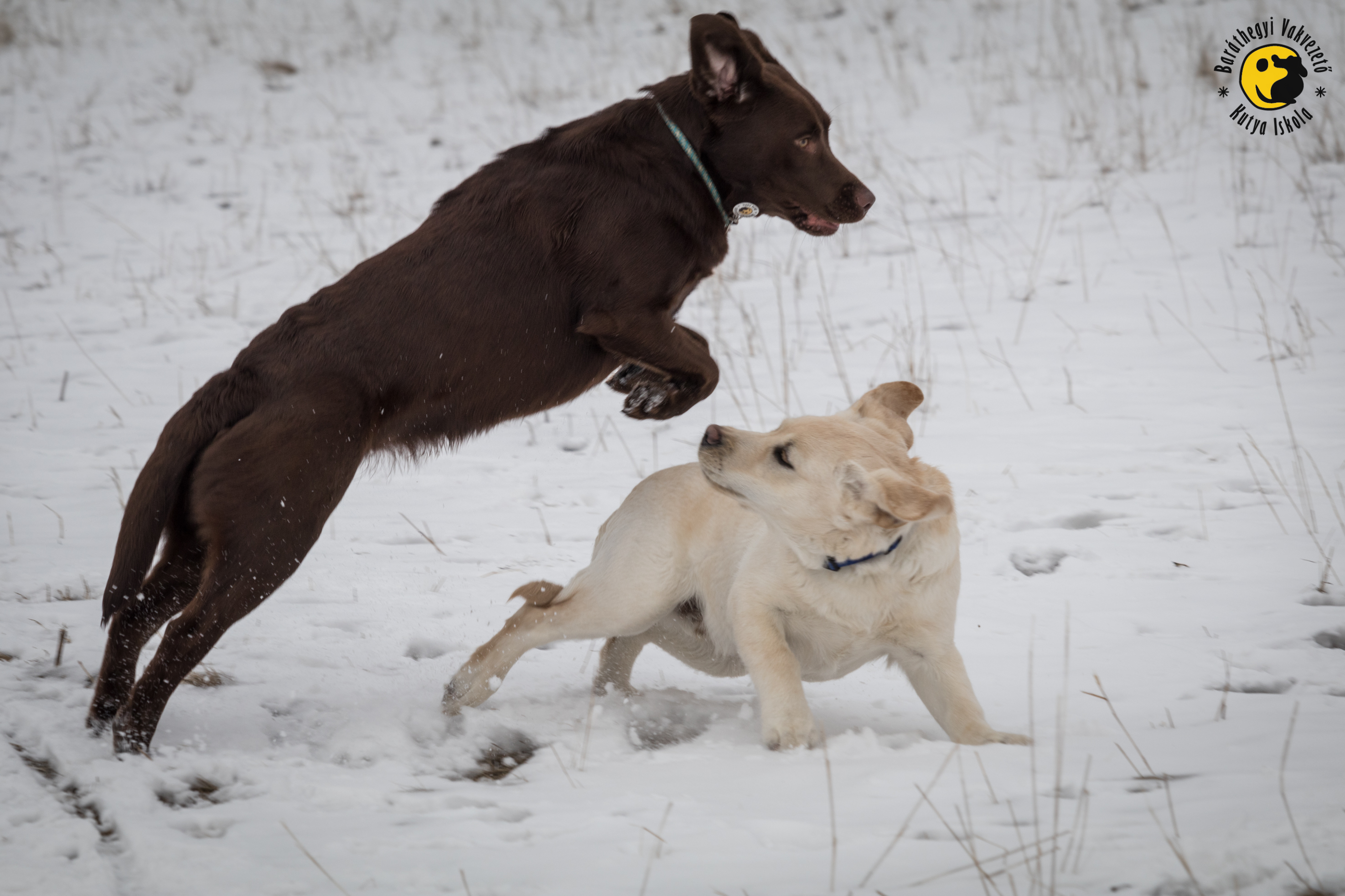 Indus átrepül Iram felett