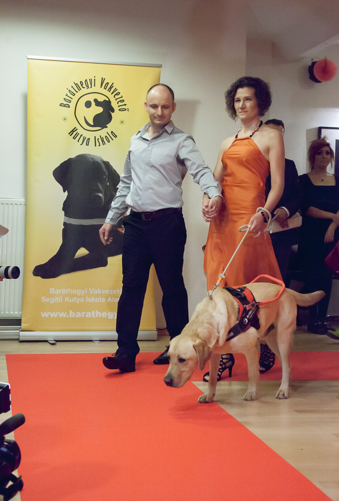 Így jutottunk be a Múzeumkertbe