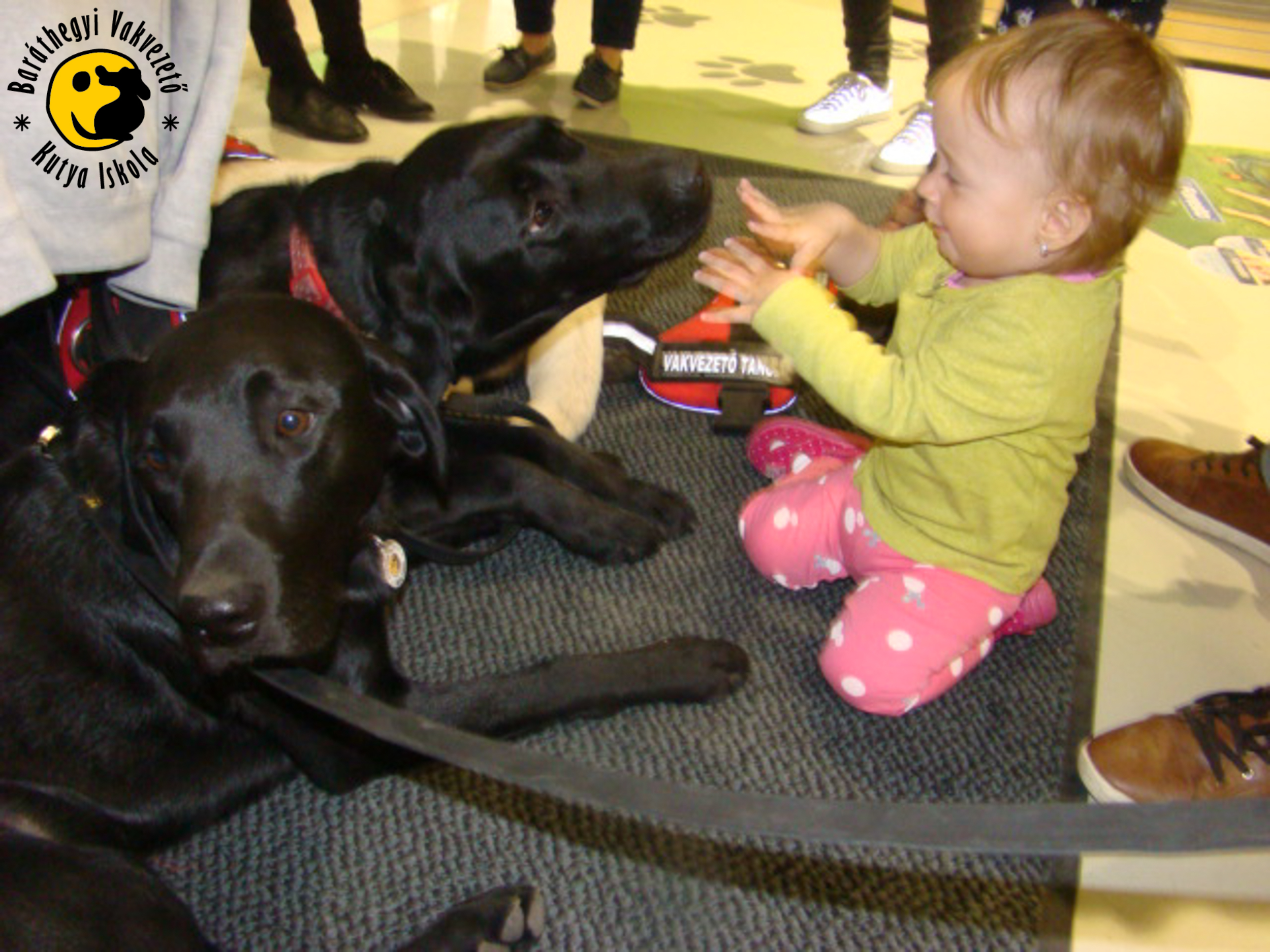 Áprilisi rendezvényeink