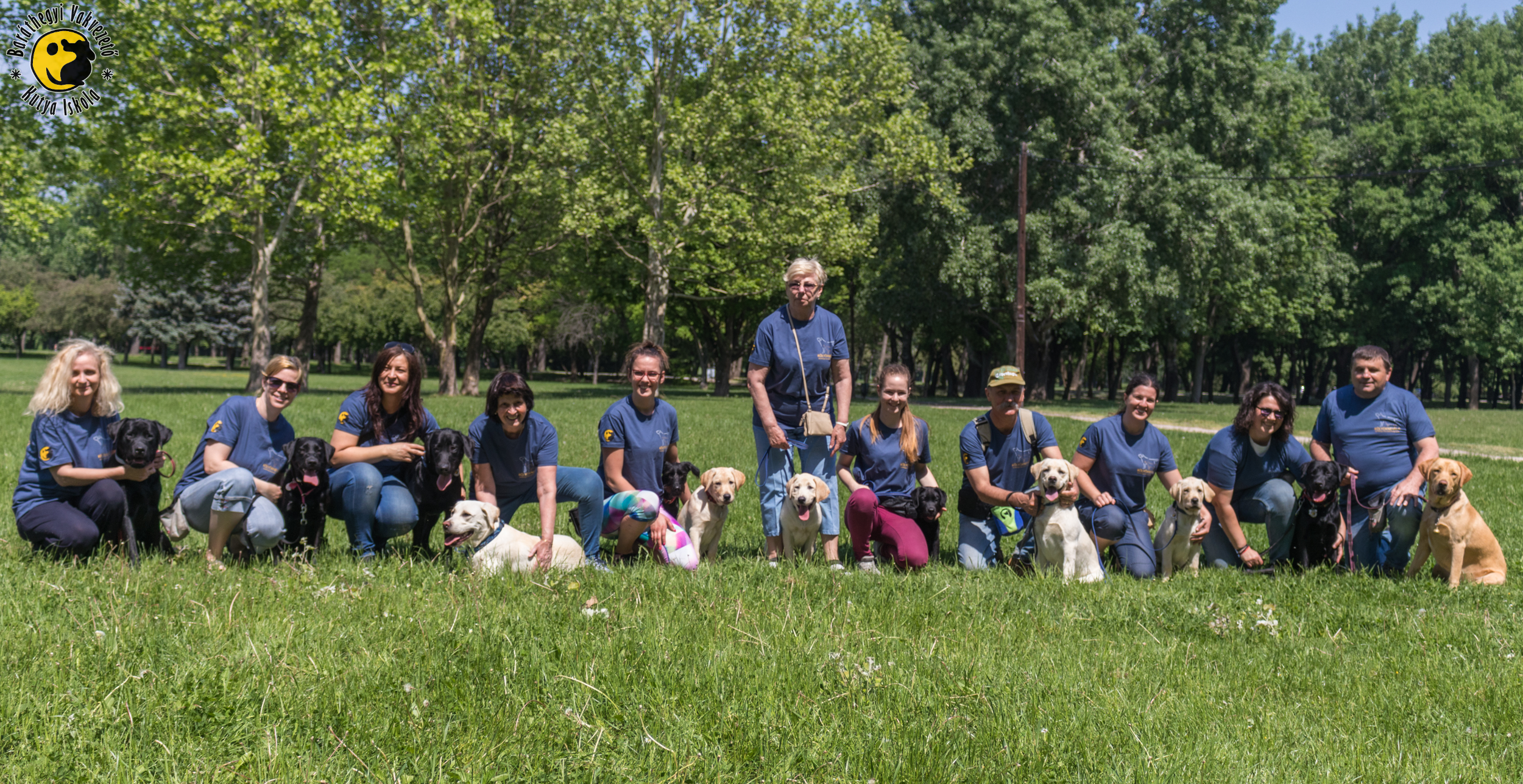 Nyílt Tréning kölyök labradorokkal