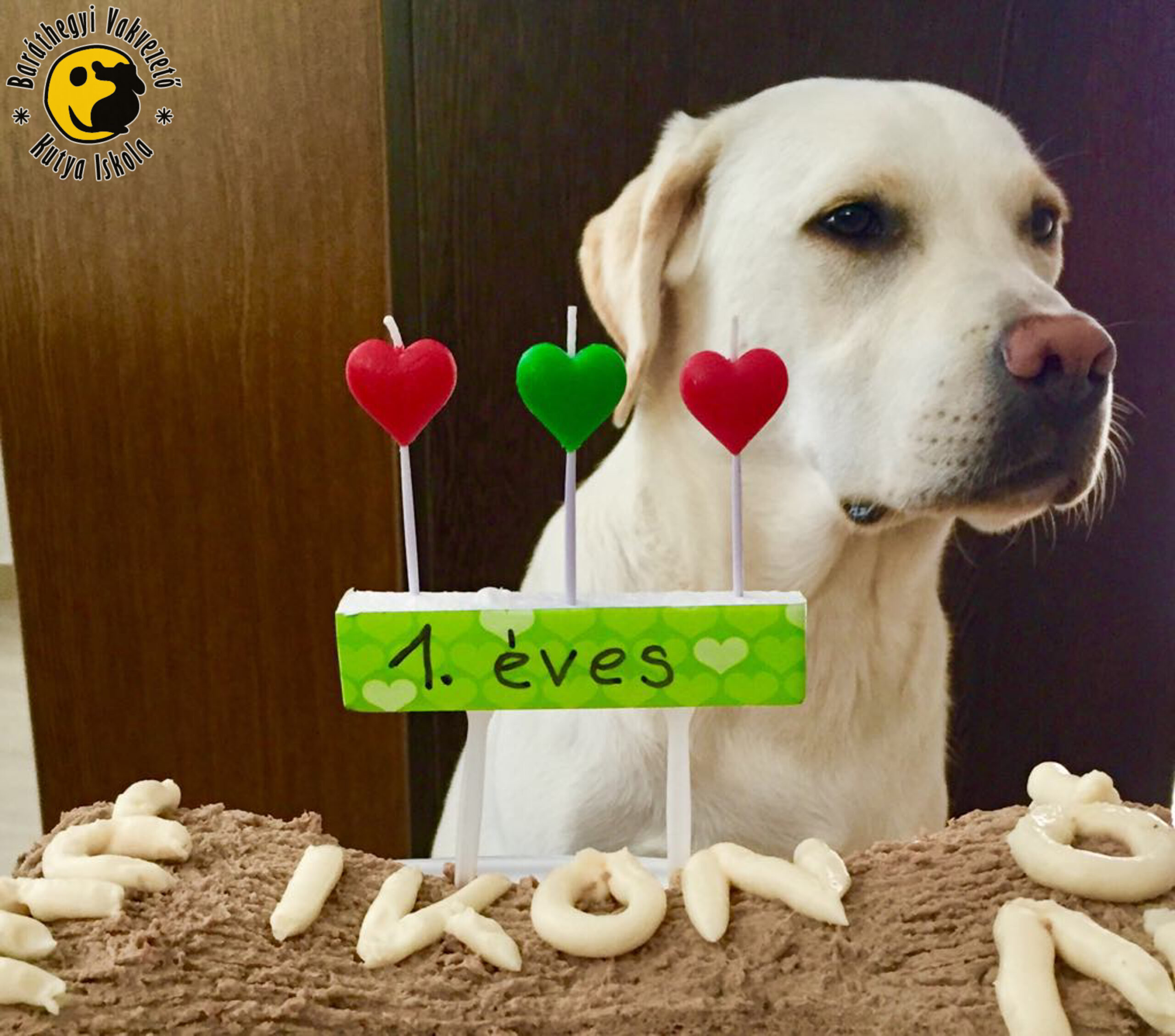 Szülinapi torta a gazdi receptje alapján