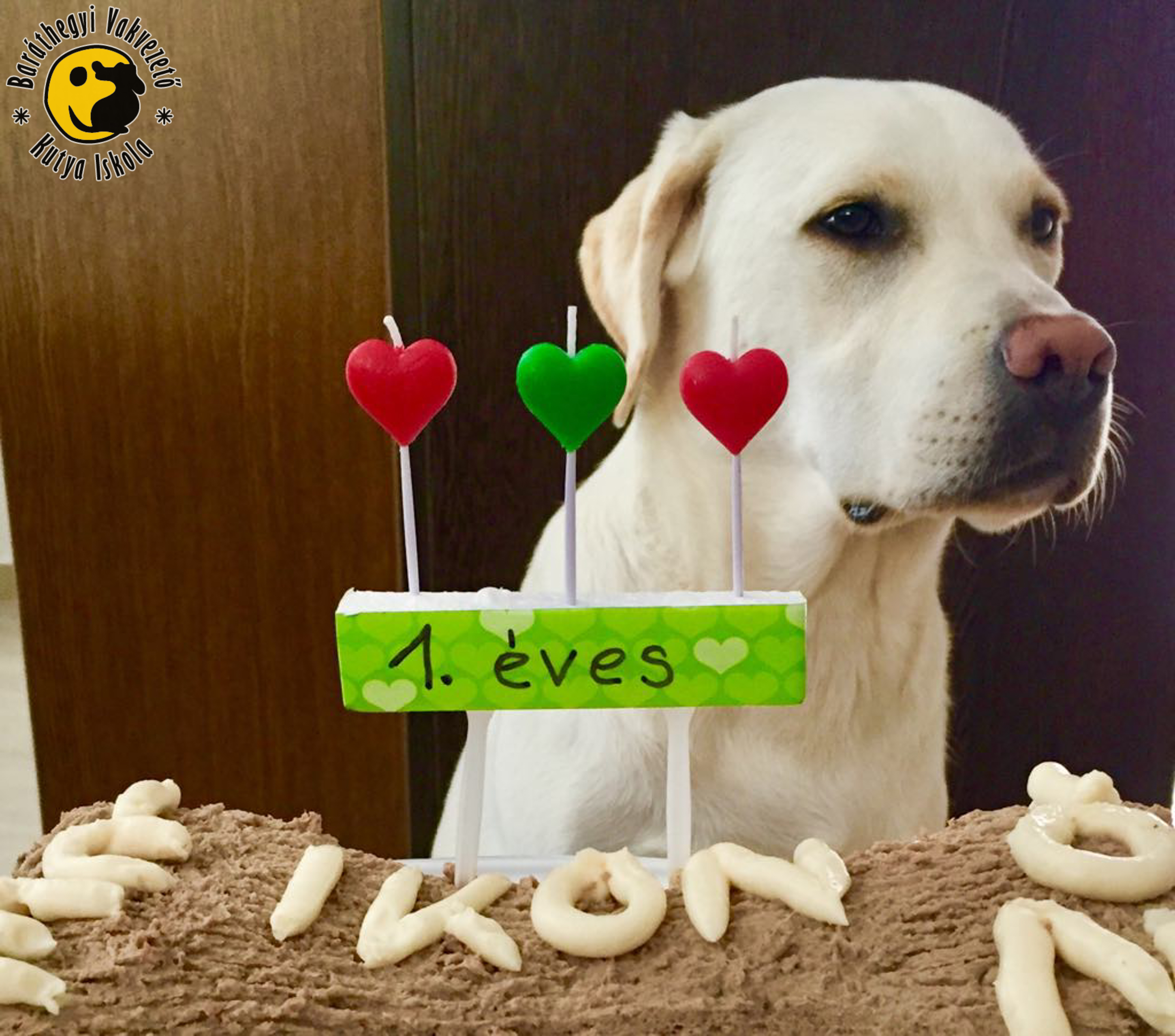 Ikon és a torta 1 éves felirattal