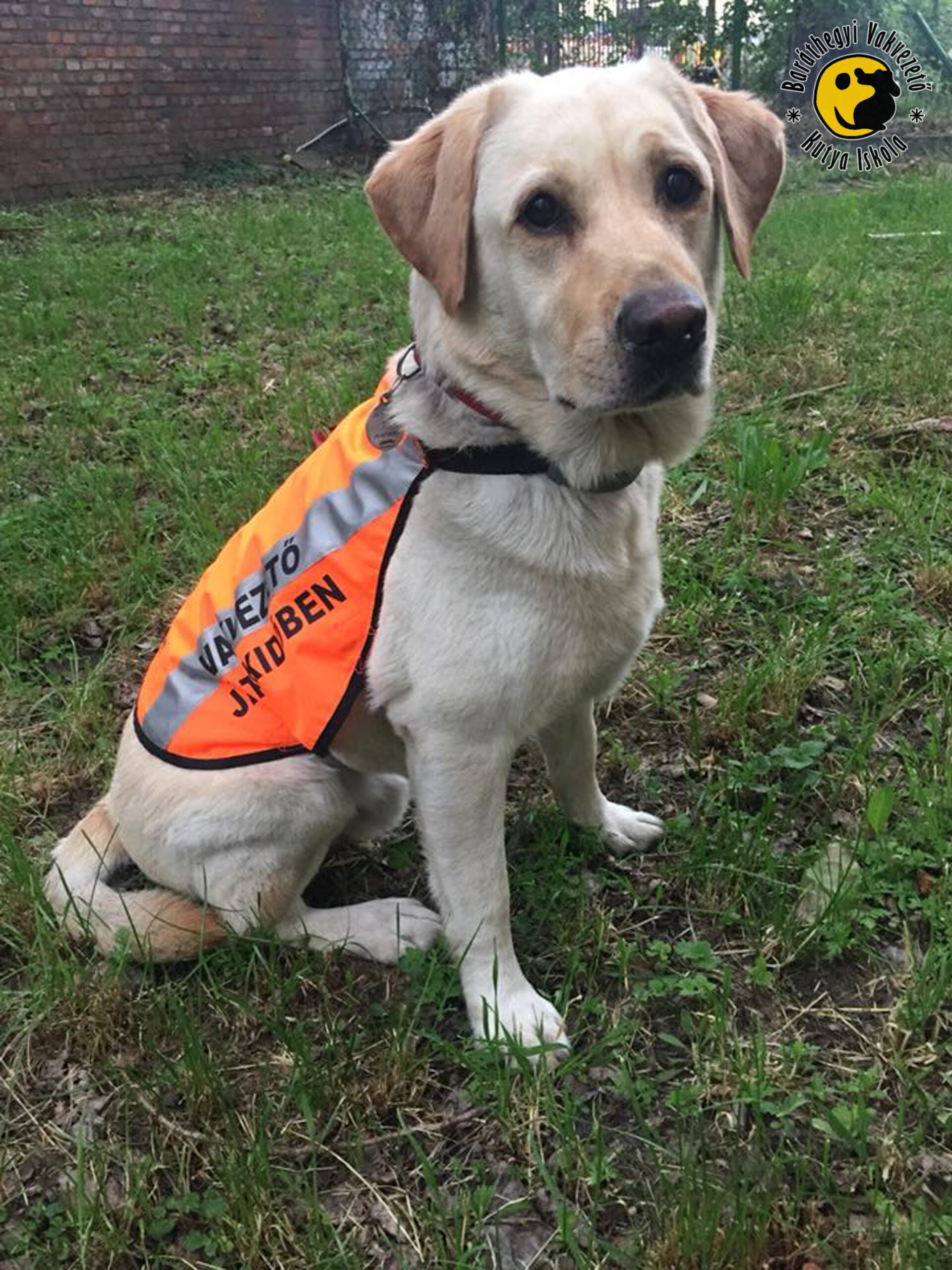 Vakvezető Játékidőben