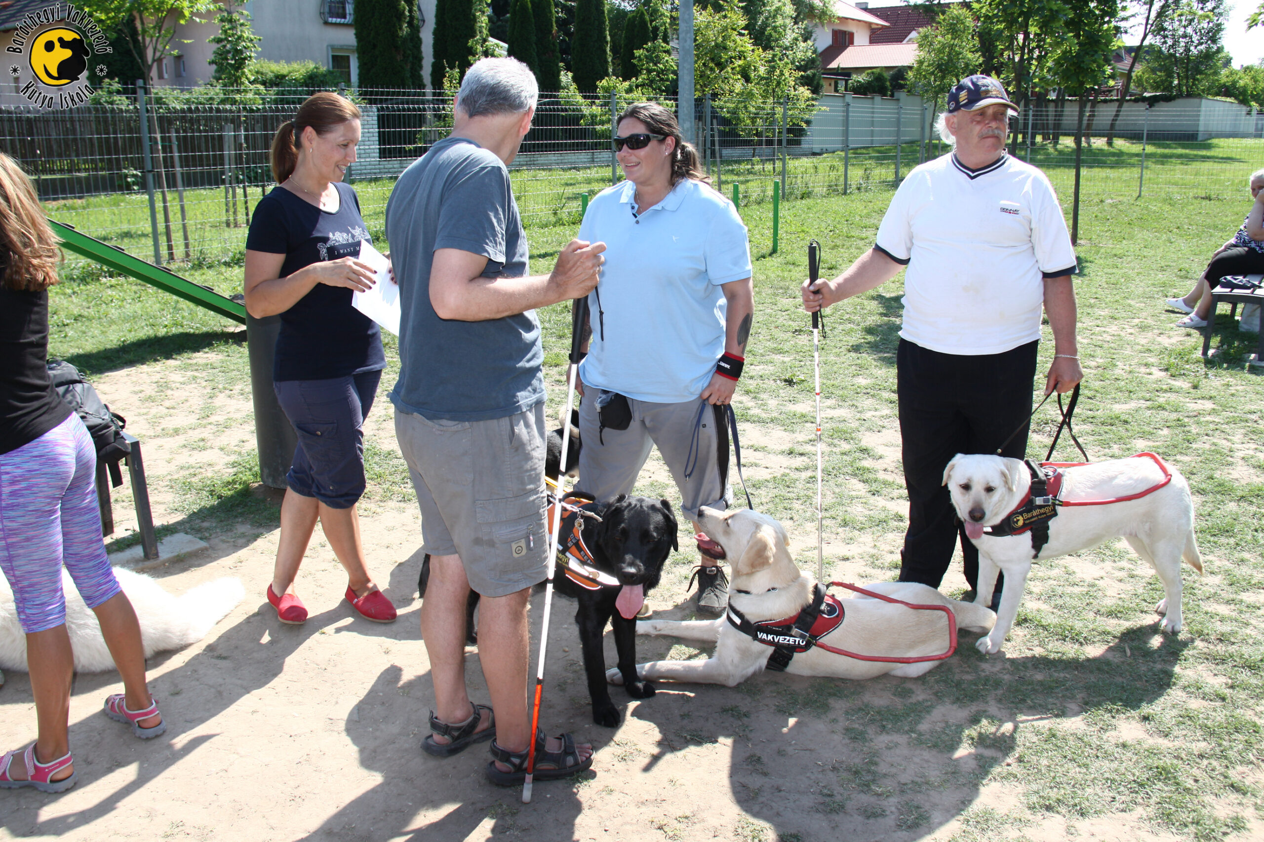 Hiába Google a vakvezető kutyám neve, nem a netről töltöttem le