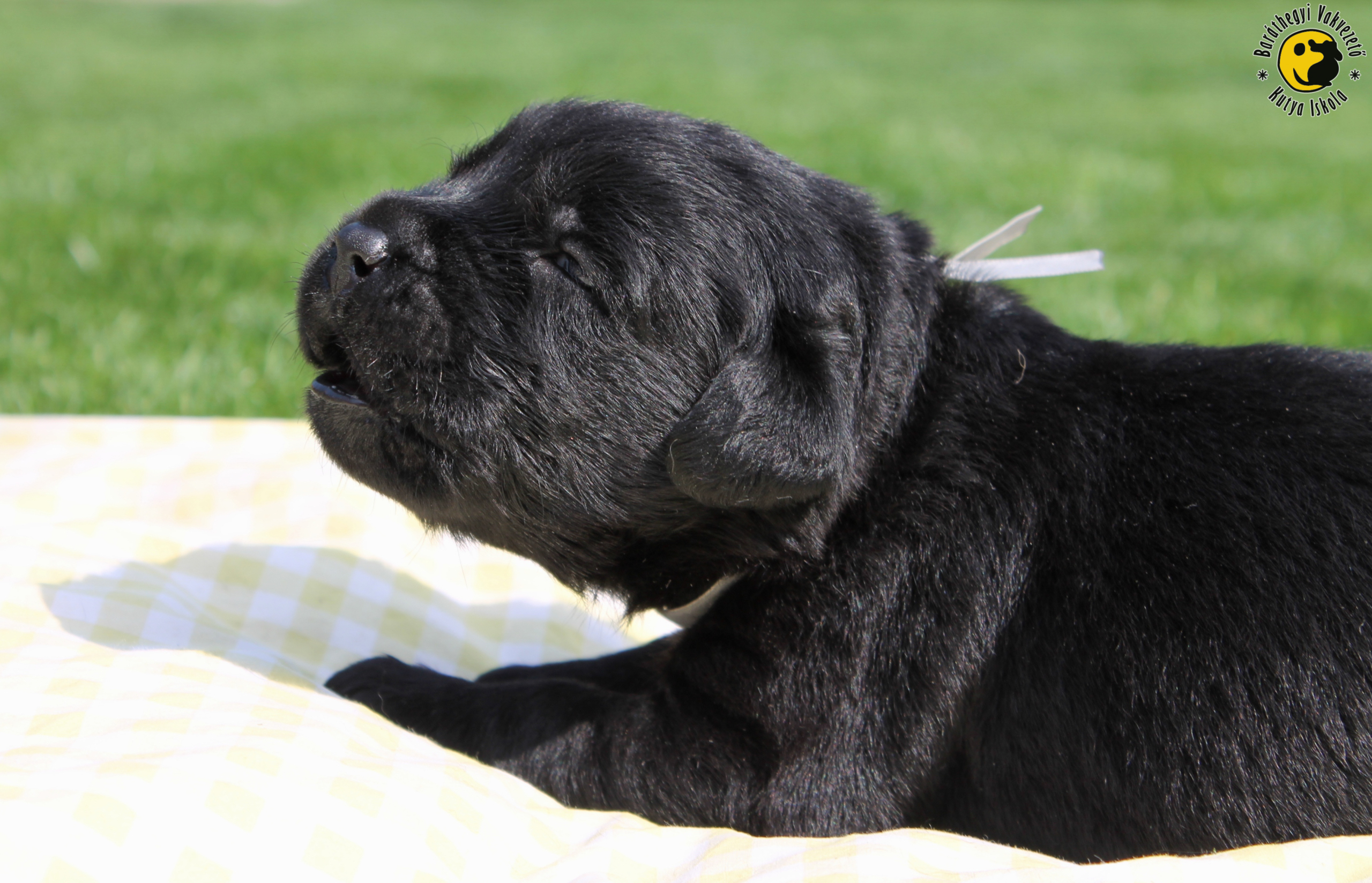 Nagyot ásít a kicsi 