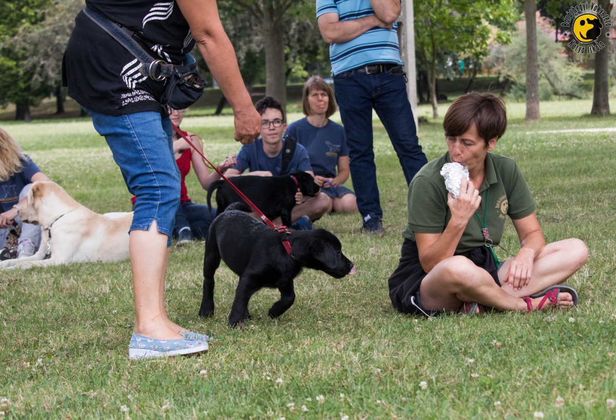Mária a földön ül, és úgy tesz, mintha egy szendvicset majszolna. Közben az egyik kölyök figyelmét csak nem sikerült elterelni a finomságról, de ígérjük, még gyakorolni fogjuk