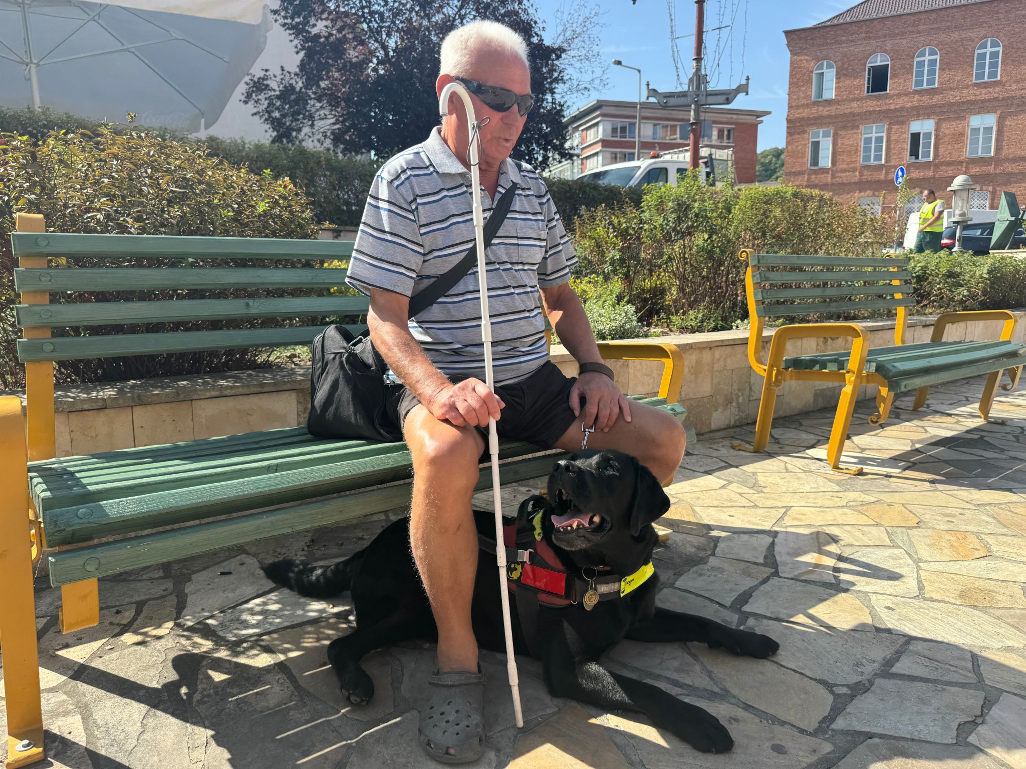 Mindenkit lenyűgözött az István és kutyája közötti összhang