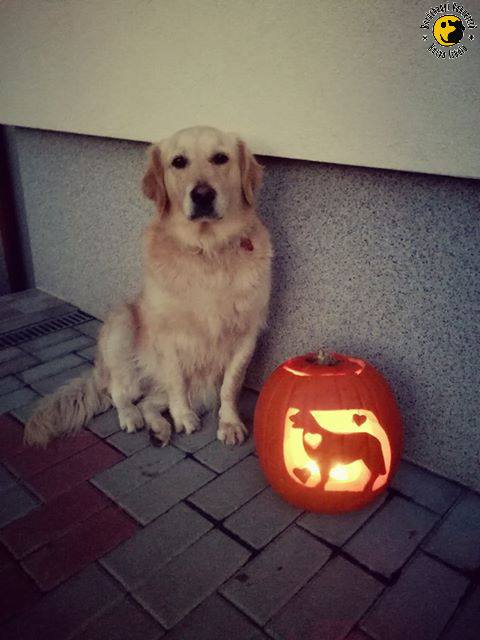 Congratulations to the winners of the Pumpkin-Carving Competition