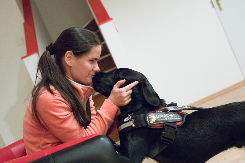 Can a Guide Dog “Know” Its Owner Is Blind?