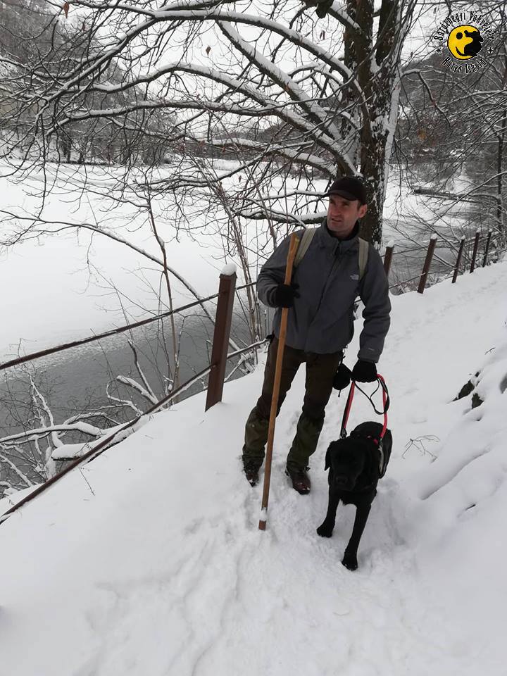 Ez a három kutya volt a mi karácsonyi ajándékuk