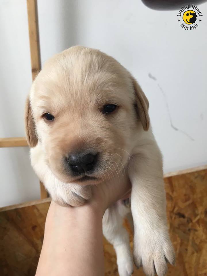 Limbo introduces herself