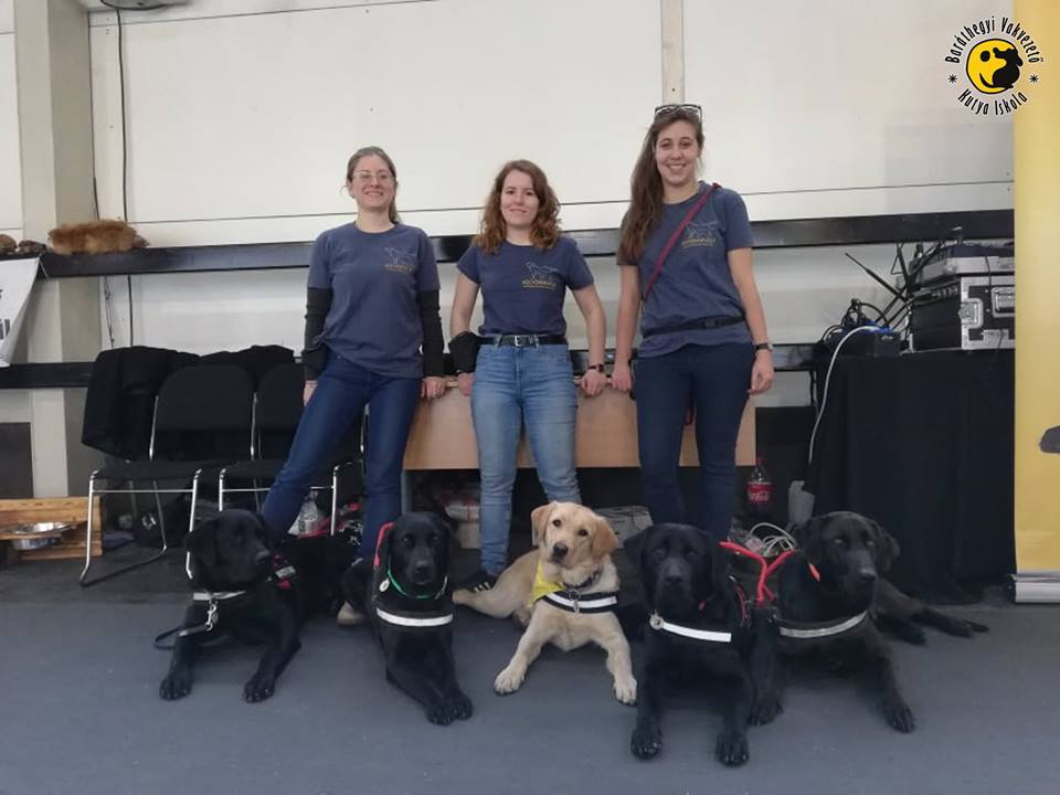 Baráthegyi guide dogs at FeHoVa