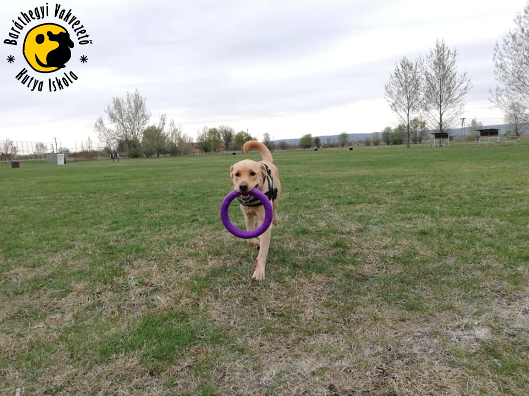 Kipróbáltuk a pullert