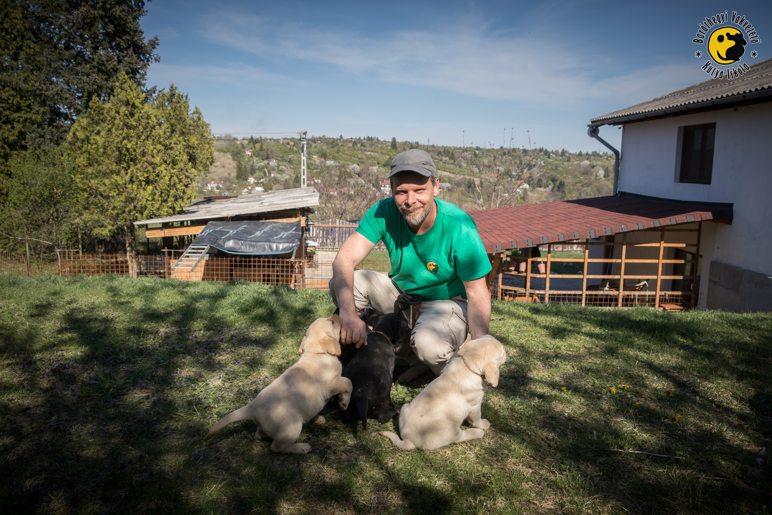 Mítosz and his siblings will be guide dogs